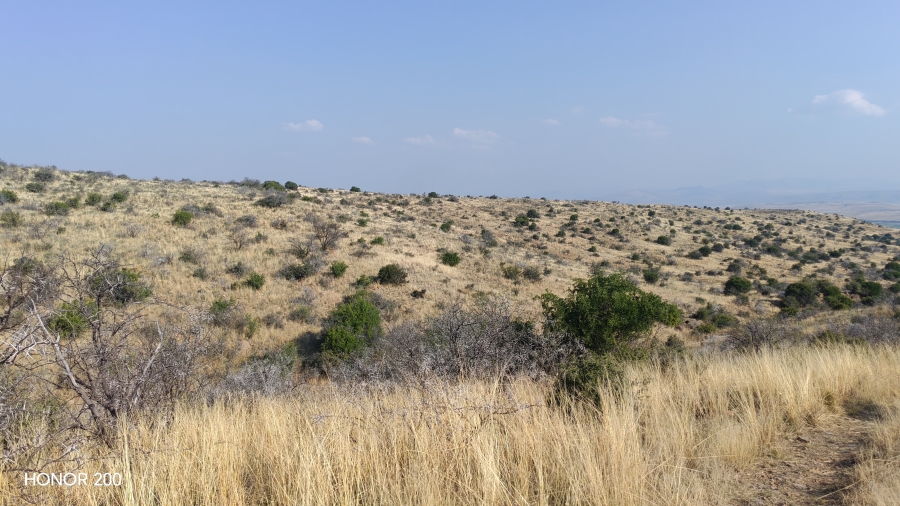 0 Bedroom Property for Sale in Cradock Eastern Cape